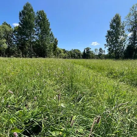 Pod Brizou Dolní Morava